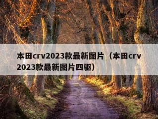 本田crv2023款最新图片（本田crv2023款最新图片四驱）