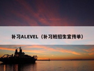 补习ALEVEL（补习班招生宣传单）