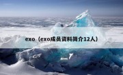 exo（exo成员资料简介12人）