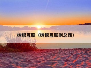 树根互联（树根互联副总裁）