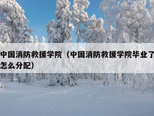 中国消防救援学院（中国消防救援学院毕业了怎么分配）