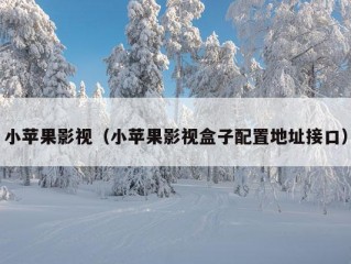 小苹果影视（小苹果影视盒子配置地址接口）