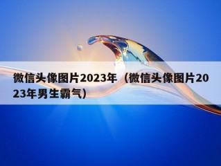 微信头像图片2023年（微信头像图片2023年男生霸气）