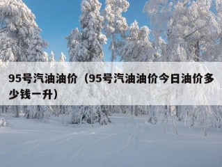 95号汽油油价（95号汽油油价今日油价多少钱一升）