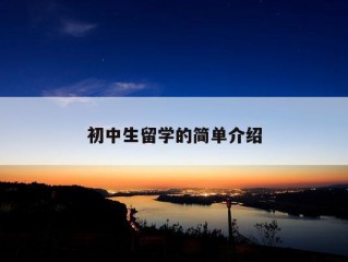 初中生留学的简单介绍