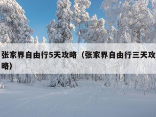 张家界自由行5天攻略（张家界自由行三天攻略）