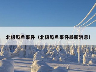 北极鲶鱼事件（北极鲶鱼事件最新消息）