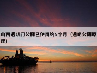 山西透明门公厕已使用约5个月（透明公厕原理）