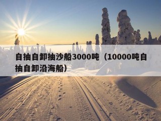 自抽自卸抽沙船3000吨（10000吨自抽自卸沿海船）