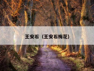 王安石（王安石梅花）