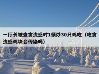 一厅长被查禽流感时1顿炒30只鸡吃（吃禽流感鸡块会传染吗）