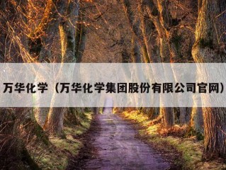 万华化学（万华化学集团股份有限公司官网）