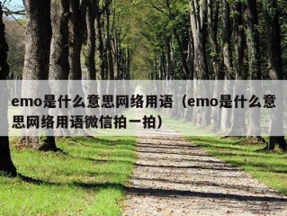 emo是什么意思网络用语（emo是什么意思网络用语微信拍一拍）