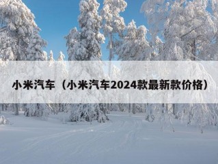 小米汽车（小米汽车2024款最新款价格）