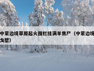 中蒙边境草原起火围栏挂满羊焦尸（中蒙边境戈壁）