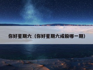 你好星期六（你好星期六成毅哪一期）