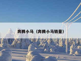 奔腾小马（奔腾小马销量）