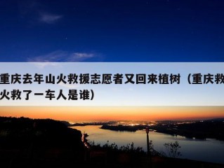 重庆去年山火救援志愿者又回来植树（重庆救火救了一车人是谁）