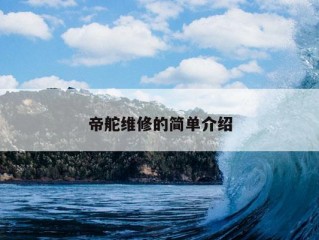 帝舵维修的简单介绍