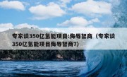 专家谈350亿氢能项目:侮辱智商（专家谈350亿氢能项目侮辱智商7）