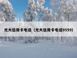 光大信用卡电话（光大信用卡电话9559）