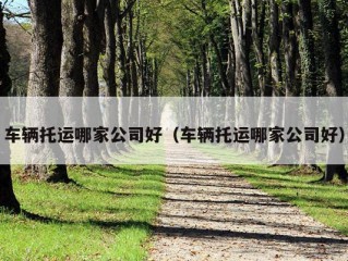 车辆托运哪家公司好（车辆托运哪家公司好）