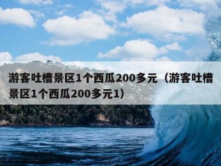 游客吐槽景区1个西瓜200多元（游客吐槽景区1个西瓜200多元1）