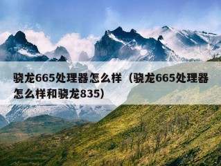 骁龙665处理器怎么样（骁龙665处理器怎么样和骁龙835）