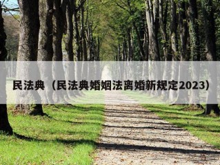 民法典（民法典婚姻法离婚新规定2023）