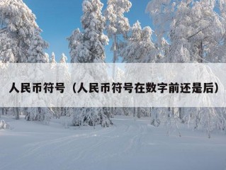 人民币符号（人民币符号在数字前还是后）