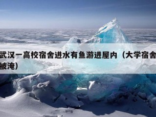 武汉一高校宿舍进水有鱼游进屋内（大学宿舍被淹）