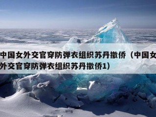 中国女外交官穿防弹衣组织苏丹撤侨（中国女外交官穿防弹衣组织苏丹撤侨1）