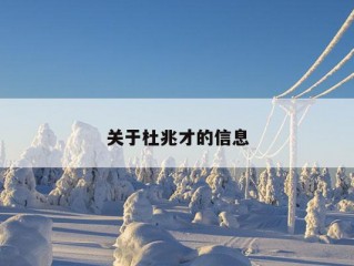 关于杜兆才的信息