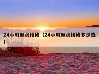 24小时漏水维修（24小时漏水维修多少钱）