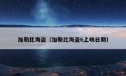 加勒比海盗（加勒比海盗6上映日期）