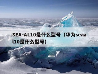 SEA-AL10是什么型号（华为seaal10是什么型号）