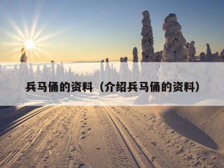 兵马俑的资料（介绍兵马俑的资料）