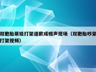 双胞胎萌娃打架道歉成相声现场（双胞胎吵架打架视频）