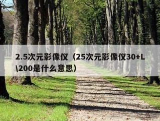 2.5次元影像仪（25次元影像仪30+L\200是什么意思）