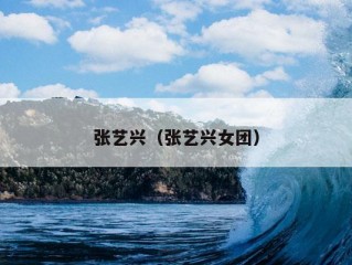 张艺兴（张艺兴女团）