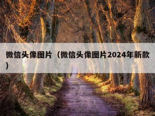 微信头像图片（微信头像图片2024年新款）