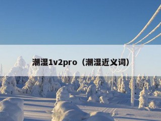 潮湿1v2pro（潮湿近义词）