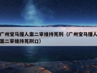 广州宝马撞人案二审维持死刑（广州宝马撞人案二审维持死刑口）