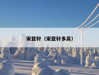 宋亚轩（宋亚轩多高）