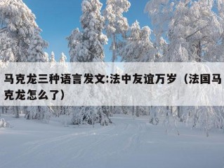 马克龙三种语言发文:法中友谊万岁（法国马克龙怎么了）