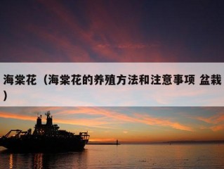 海棠花（海棠花的养殖方法和注意事项 盆栽）