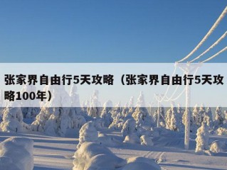 张家界自由行5天攻略（张家界自由行5天攻略100年）