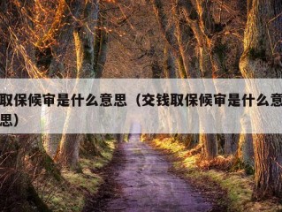 取保候审是什么意思（交钱取保候审是什么意思）