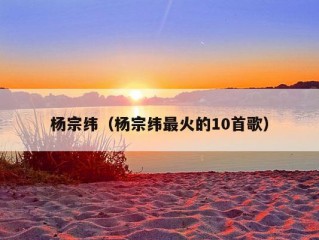 杨宗纬（杨宗纬最火的10首歌）