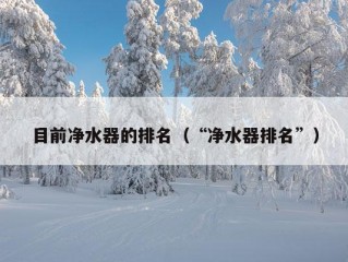 目前净水器的排名（“净水器排名”）